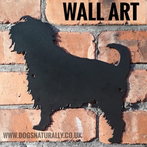 Affenpincher Dog Breed Wall Art